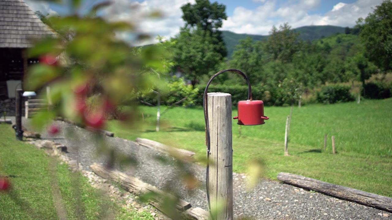 Iz De Maramures Rural Hotel (Adults Only) Surdesti  외부 사진